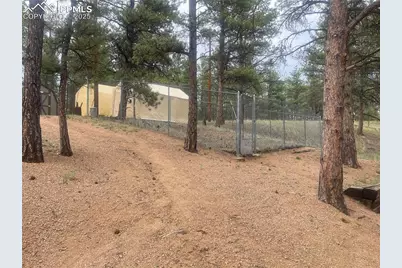 110 Wallace Drive, Florissant, CO 80816 - Photo 7