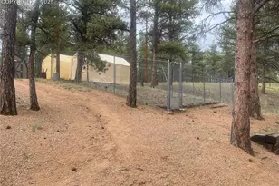 110 Wallace Dr, Florissant, CO 80816 - Photo 7