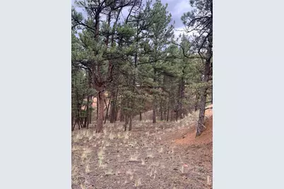 110 Wallace Drive, Florissant, CO 80816 - Photo 39