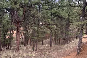 110 Wallace Dr, Florissant, CO 80816 - Photo 39