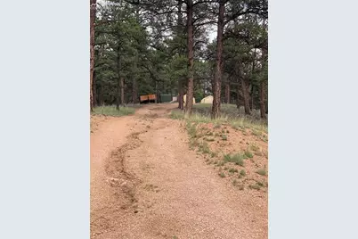 110 Wallace Drive, Florissant, CO 80816 - Photo 33