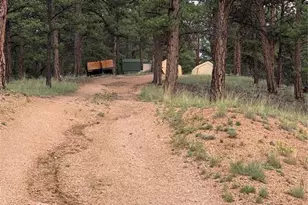 110 Wallace Dr, Florissant, CO 80816 - Photo 33