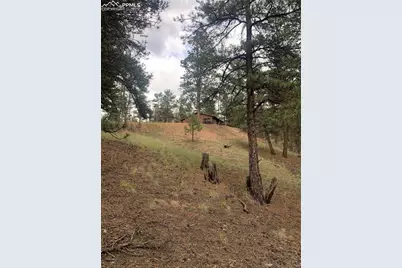 110 Wallace Drive, Florissant, CO 80816 - Photo 43