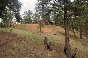 110 Wallace Dr, Florissant, CO 80816 - Photo 43