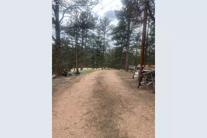 110 Wallace Drive, Florissant, CO 80816 - Photo 5