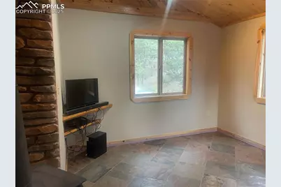 110 Wallace Drive, Florissant, CO 80816 - Photo 13