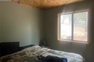 110 Wallace Dr, Florissant, CO 80816 - Photo 17