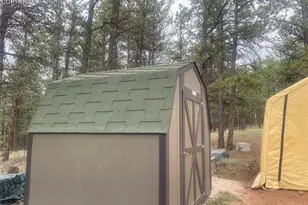 110 Wallace Dr, Florissant, CO 80816 - Photo 9