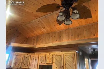 110 Wallace Drive, Florissant, CO 80816 - Photo 27