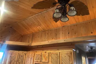 110 Wallace Dr, Florissant, CO 80816 - Photo 27