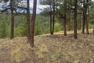 110 Wallace Dr, Florissant, CO 80816 - Photo 37