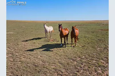 2820 E Ellicott Road, Calhan, CO 80808 - Photo 41