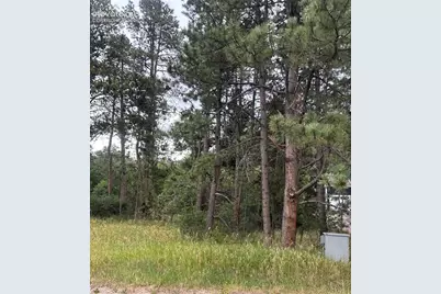 1455 Blueberry Hills Road, Monument, CO 80132 - Photo 3
