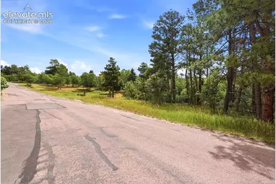 1455 Blueberry Hills Road, Monument, CO 80132 - Photo 9