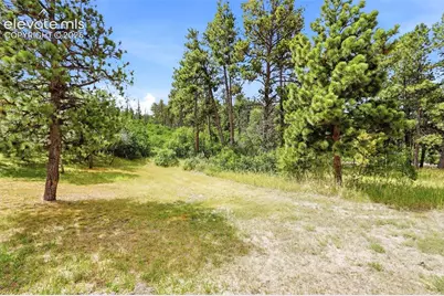 1455 Blueberry Hills Road, Monument, CO 80132 - Photo 11