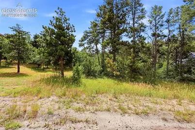 1455 Blueberry Hills Road, Monument, CO 80132 - Photo 7