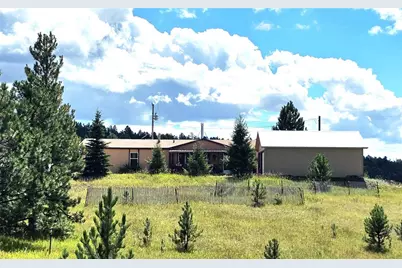 891 S Mountain Estates Road, Florissant, CO 80816 - Photo 23