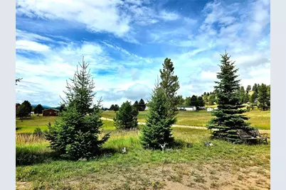 891 S Mountain Estates Road, Florissant, CO 80816 - Photo 25
