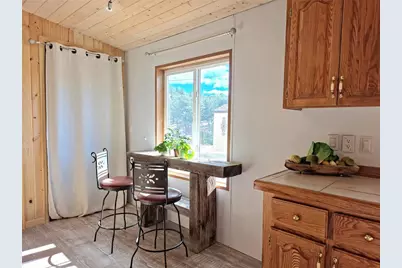 891 S Mountain Estates Road, Florissant, CO 80816 - Photo 11