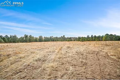 12095 Grandin Point, Elbert, CO 80106 - Photo 15