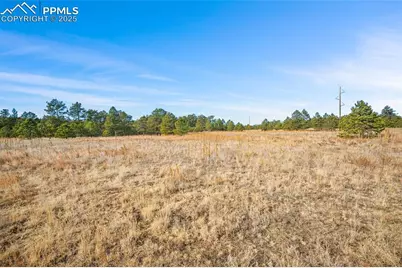 12095 Grandin Point, Elbert, CO 80106 - Photo 17