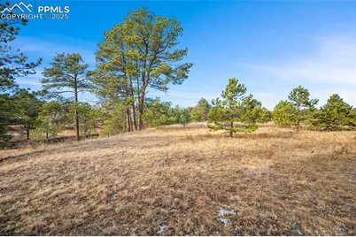 12095 Grandin Point, Elbert, CO 80106 - Photo 19