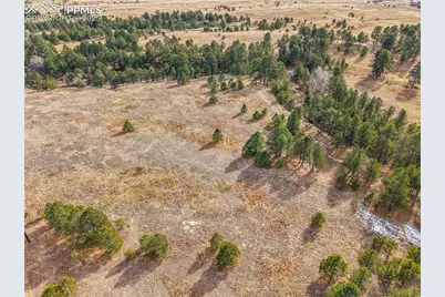 12095 Grandin Point, Elbert, CO 80106 - Photo 13