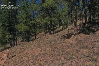 181 Valley Lane, Woodland Park, CO 80863 - Photo 33