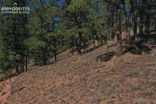 181 Valley Ln, Woodland Park, CO 80863 - Photo 33
