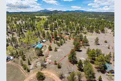 121 Bridle Lane, Florissant, CO 80816 - Photo 11