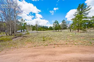 121 Bridle Ln, Florissant, CO 80816 - Photo 1