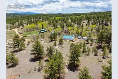 121 Bridle Lane, Florissant, CO 80816 - Photo 5