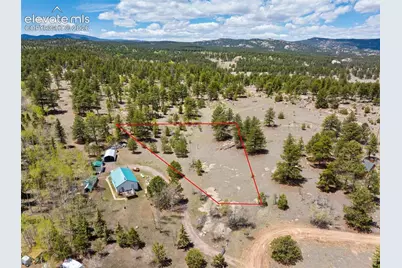 121 Bridle Lane, Florissant, CO 80816 - Photo 9