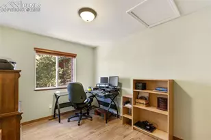 681 Misty Pines Cir, Woodland Park, CO 80863 - Photo 15