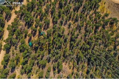 3447 Pathfinder Road, Florissant, CO 80816 - Photo 11