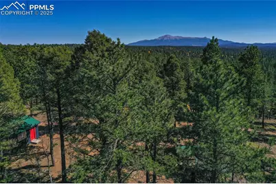 3447 Pathfinder Road, Florissant, CO 80816 - Photo 31