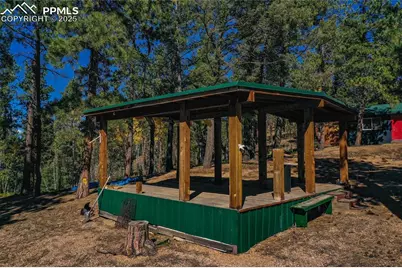 3447 Pathfinder Road, Florissant, CO 80816 - Photo 9