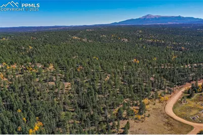 3447 Pathfinder Road, Florissant, CO 80816 - Photo 37