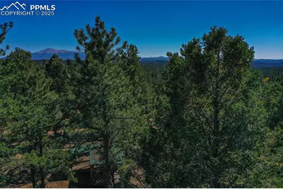3447 Pathfinder Road, Florissant, CO 80816 - Photo 15