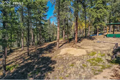 3447 Pathfinder Road, Florissant, CO 80816 - Photo 23