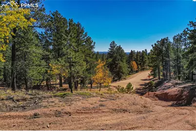 3447 Pathfinder Road, Florissant, CO 80816 - Photo 21