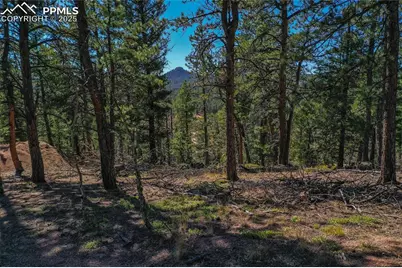 3447 Pathfinder Road, Florissant, CO 80816 - Photo 17