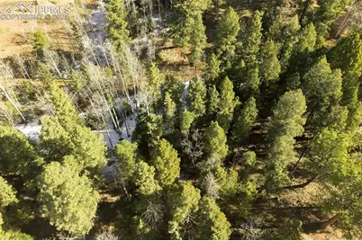 2763 N Mountain Estates Road, Florissant, CO 80816 - Photo 5