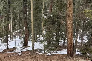 2763 N Mountain Estates Rd, Florissant, CO 80816 - Photo 1