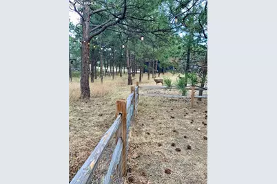 19845 E Top O The Moor Drive, Monument, CO 80132 - Photo 47