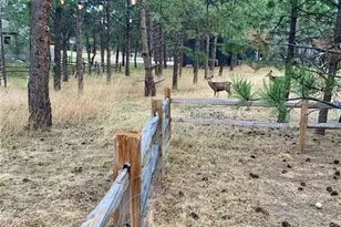 19845 E Top O The Moor Dr, Monument, CO 80132 - Photo 47