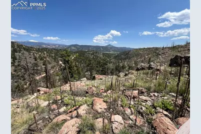 160 Chateau West Drive, Florissant, CO 80816 - Photo 23