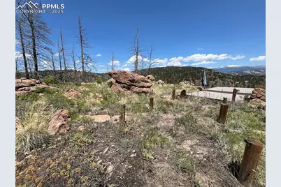 160 Chateau West Drive, Florissant, CO 80816 - Photo 21