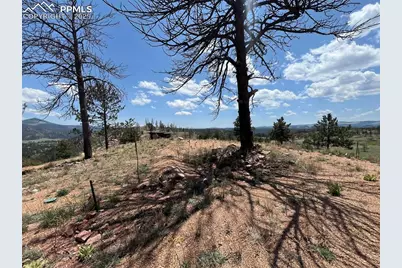 160 Chateau West Drive, Florissant, CO 80816 - Photo 7