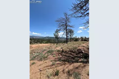 160 Chateau West Drive, Florissant, CO 80816 - Photo 15